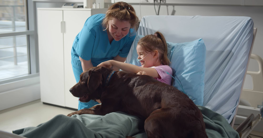 Nurse with cute brown labrador visiting sick little girl