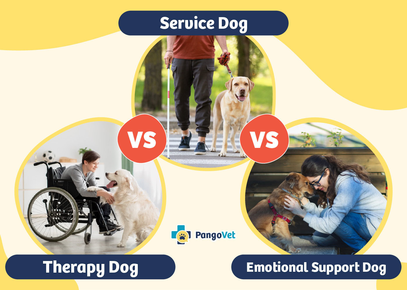 PangoVet_General VS General VS General_v1-2_Feb 11 2025