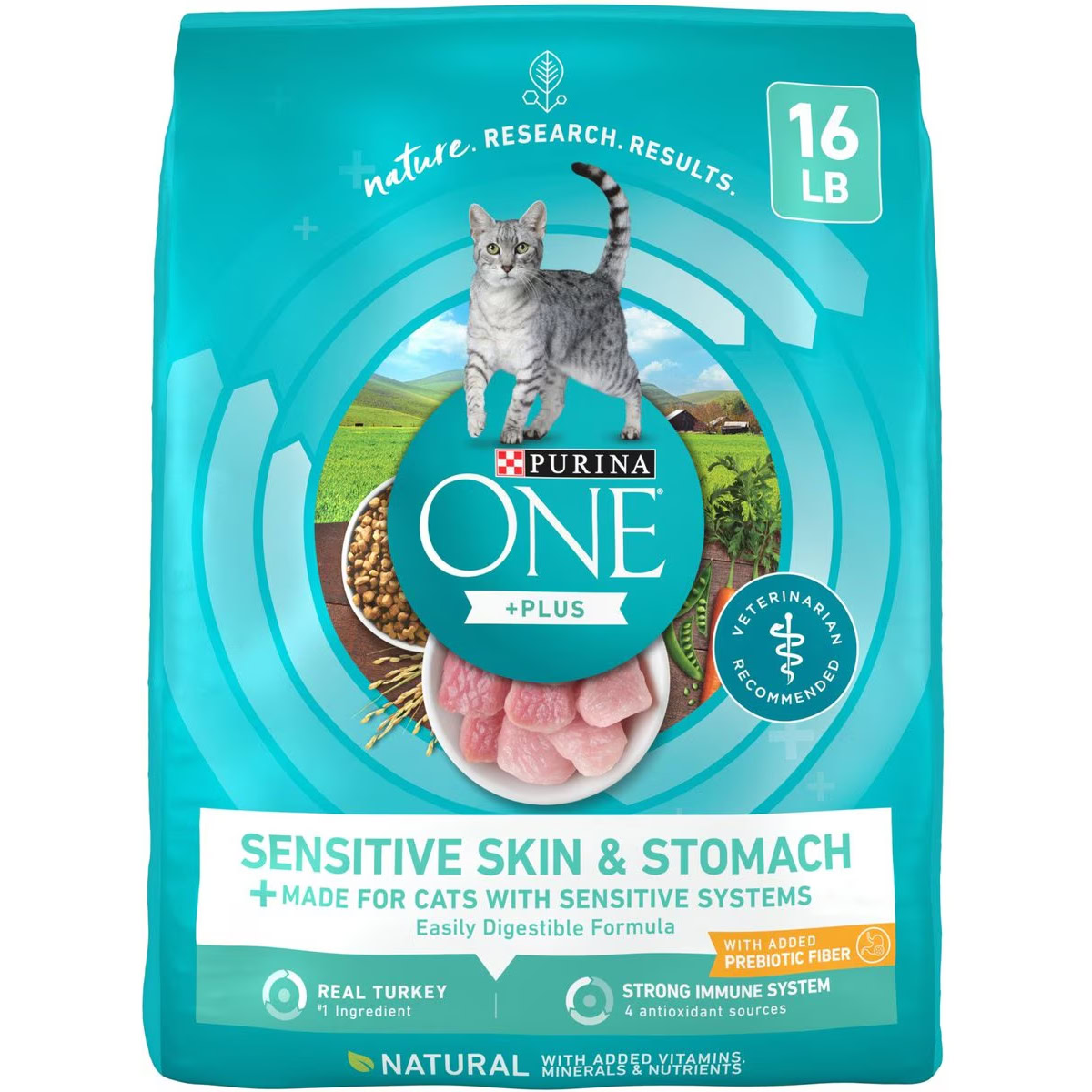 Purina ONE +Plus Sensitive Skin & Stomach Natural Adult Dry Cat Food