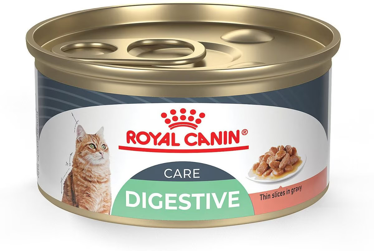 Royal Canin Feline Care Nutrition Digestive Care Thin Slices in Gravy Canned Cat Food 