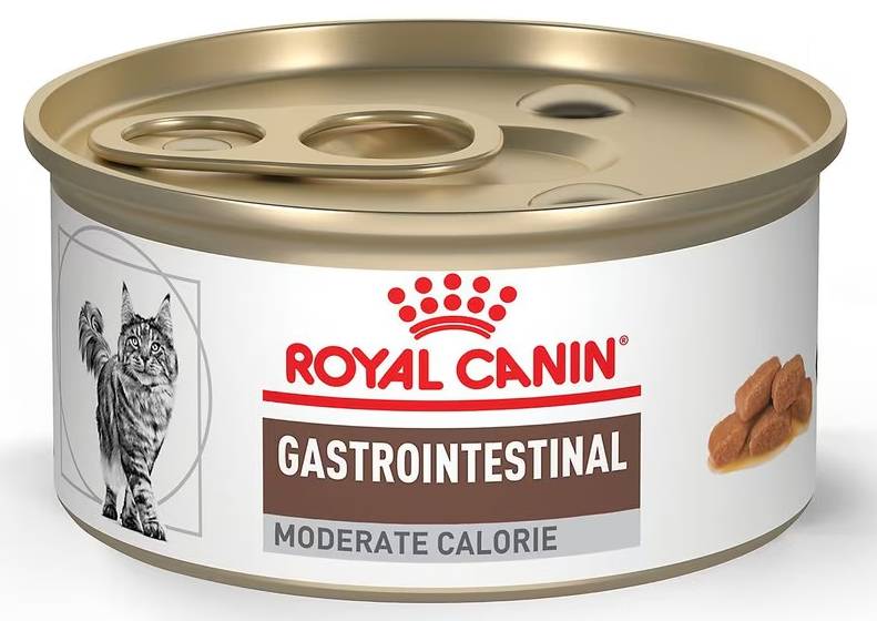Royal Canin Veterinary Diet Gastrointestinal Wet Cat Food