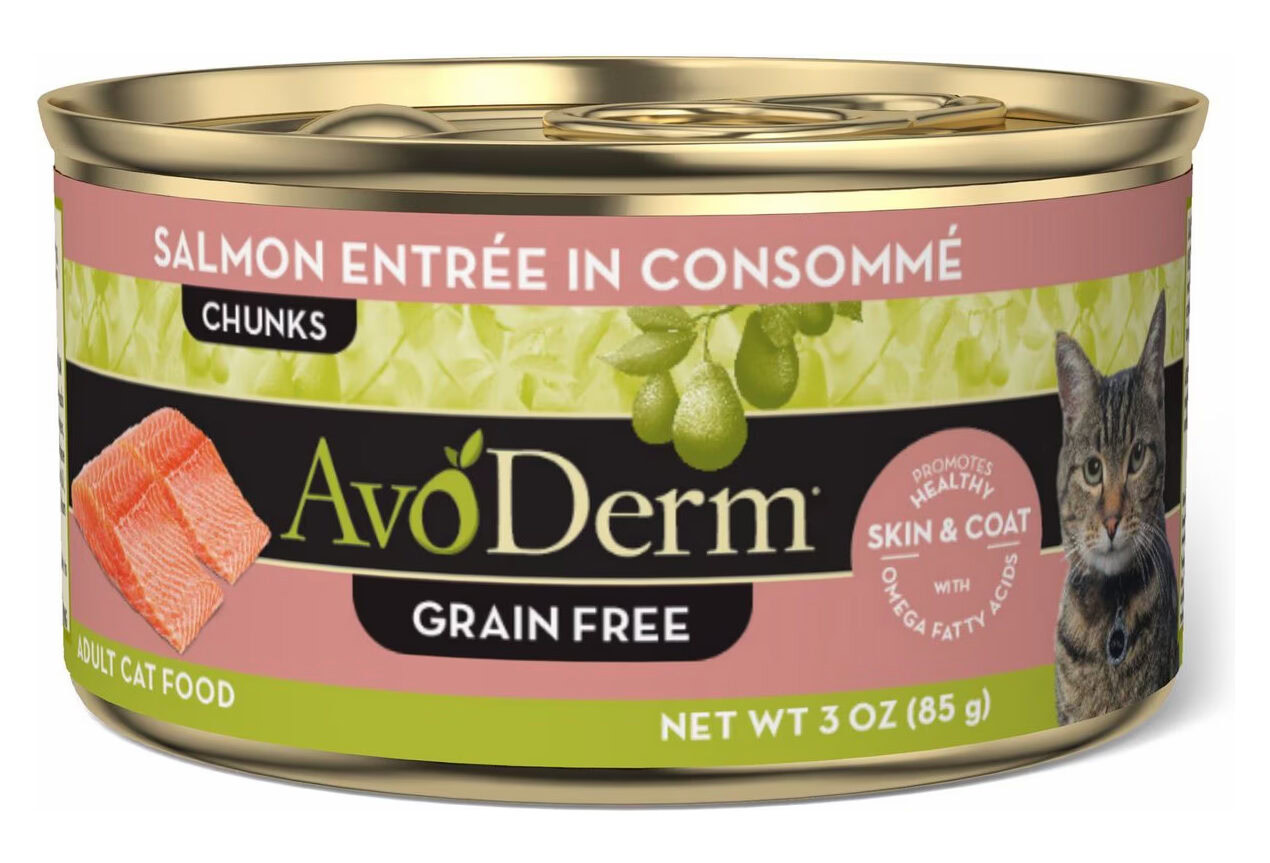 Avoderm Grain-Free Salmon Consomme Canned Cat Food