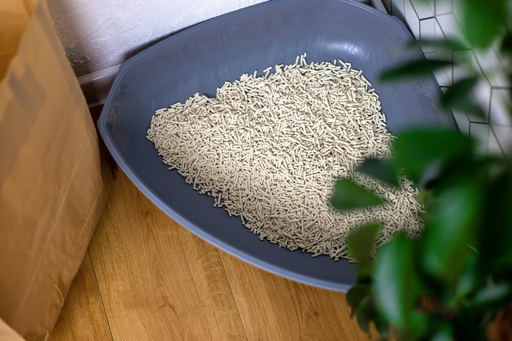 Close up plastic corner cat tray with light filler granules