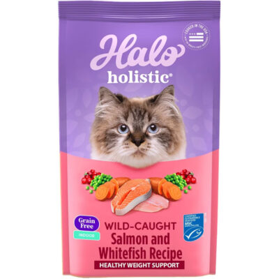 Halo Wild Salmon Kitten Food