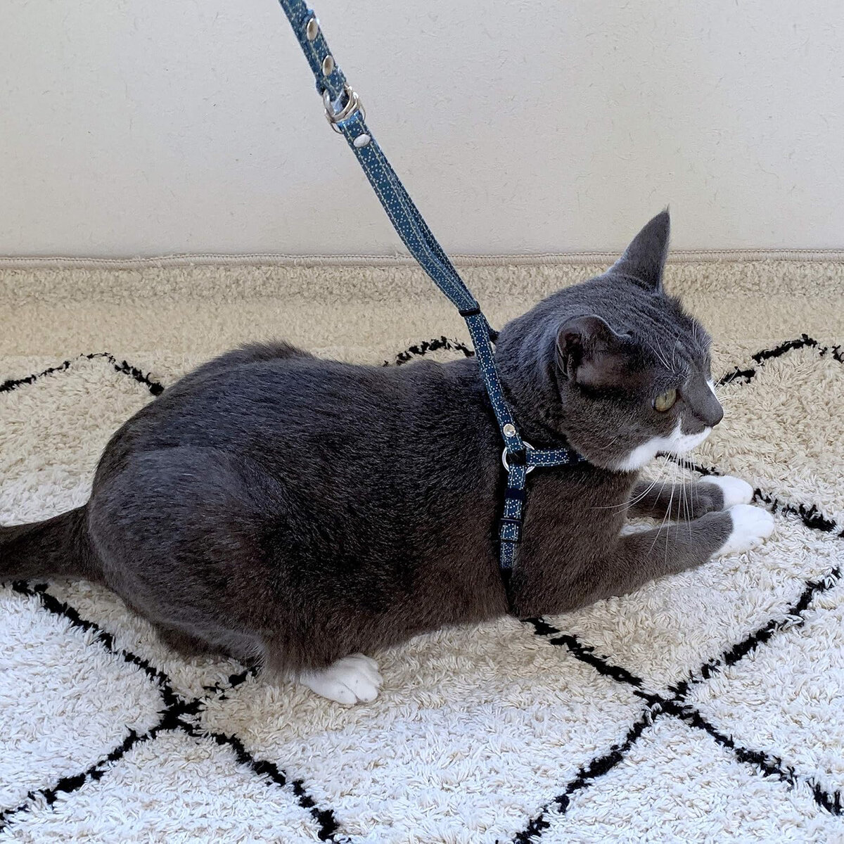 Necoichi ZEN Fish Charm Cotton Cat Harness & Leash