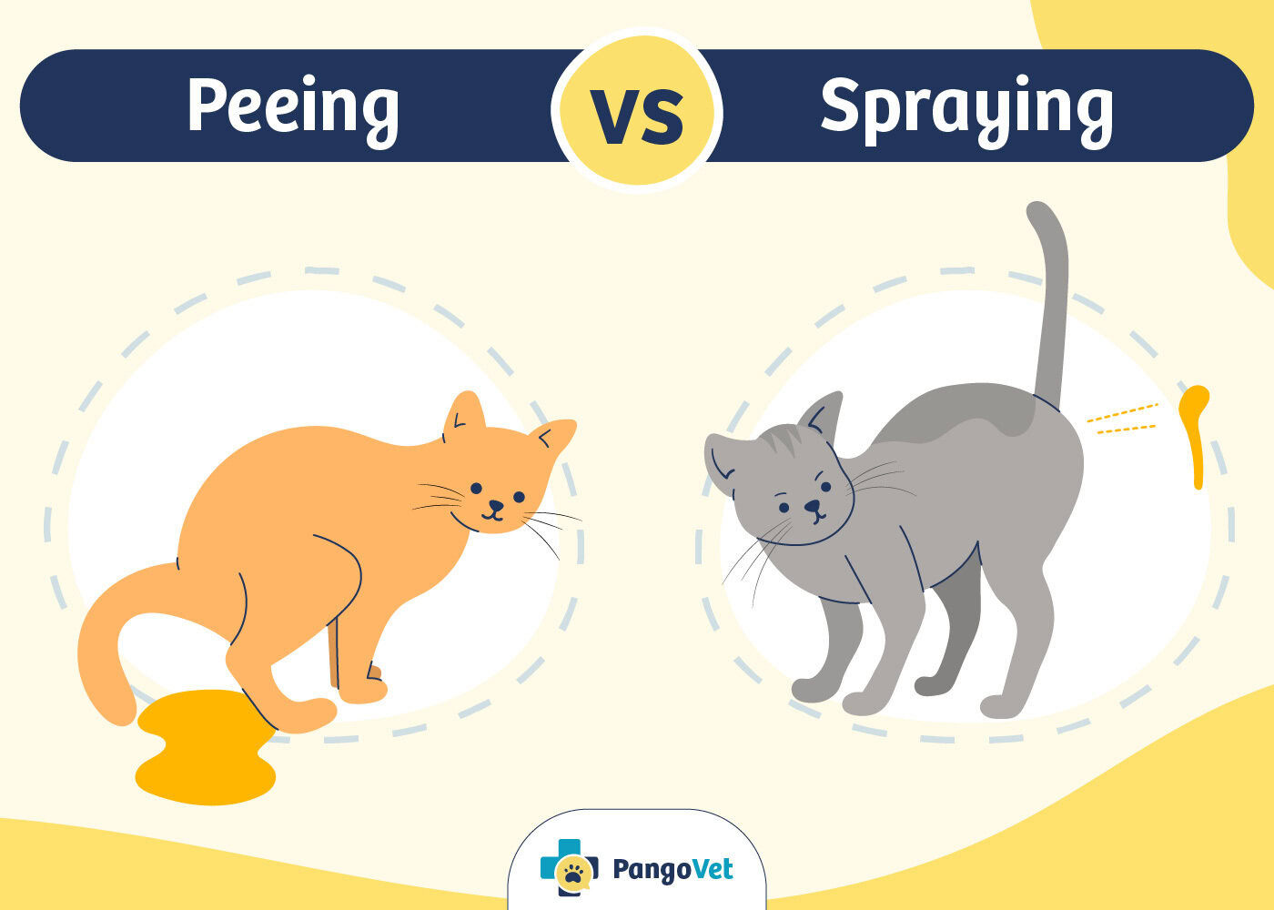 Cat Peeing VS Cat Spraying Infographic