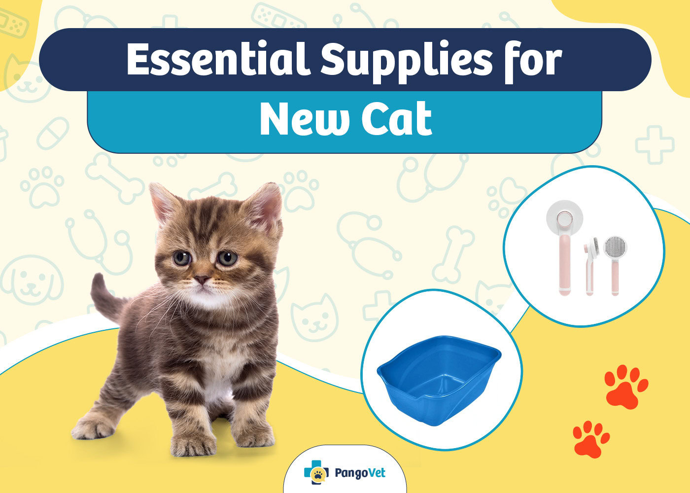 PangoVet_Essential Supplies for New Cat