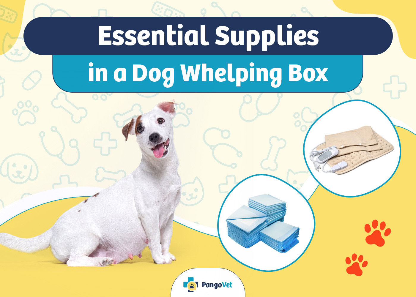 PangoVet_Essential Supplies in a Dog Whelping Box