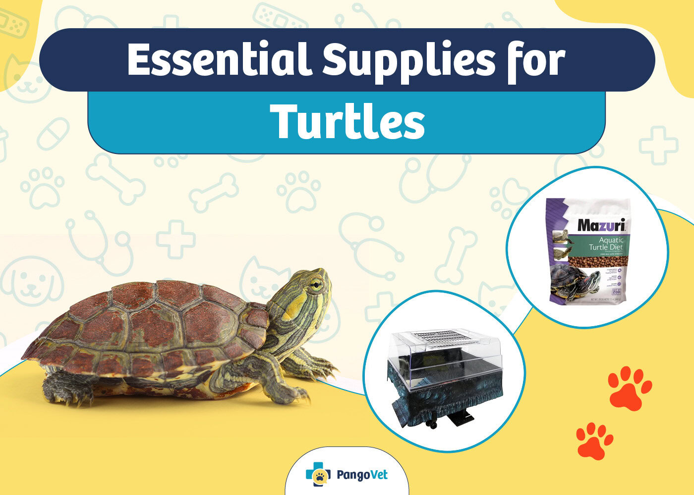 PangoVet_Essential Turtle Supplies