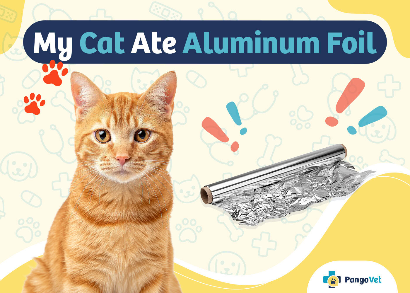 PangoVet_My Cat Ate Aluminum Foil