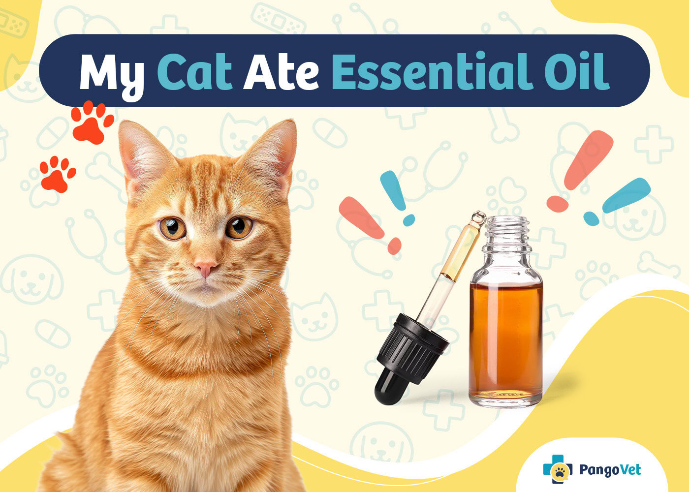 PangoVet_My Cat Ate Essential Oil