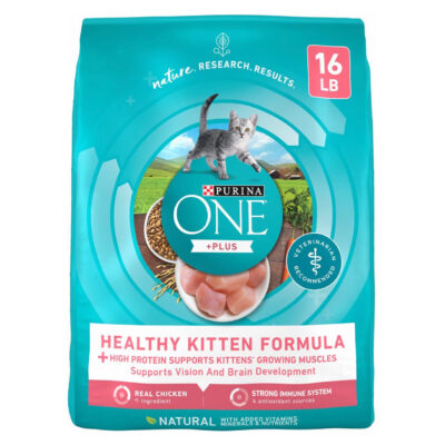 Purina ONE Healthy Kitten Food