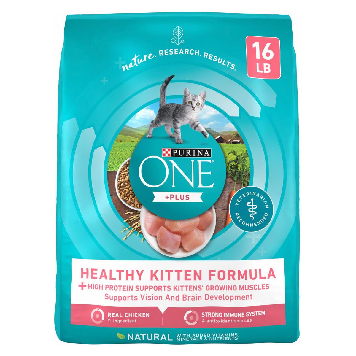 Purina ONE Healthy Kitten Dry Cat Food