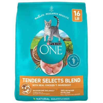 Purina ONE Chicken Dry Cat Food