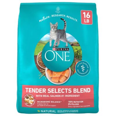 Purina ONE Tender Selects Blend Real Salmon Dry Cat Food