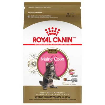 Royal Canin Maine Coon Kitten Food