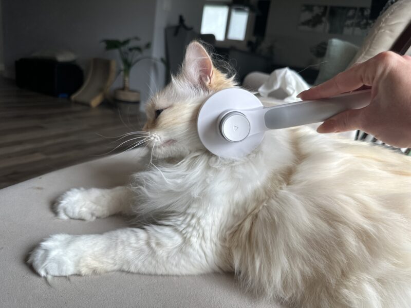 Long-haired cat being brushed with hepper brush