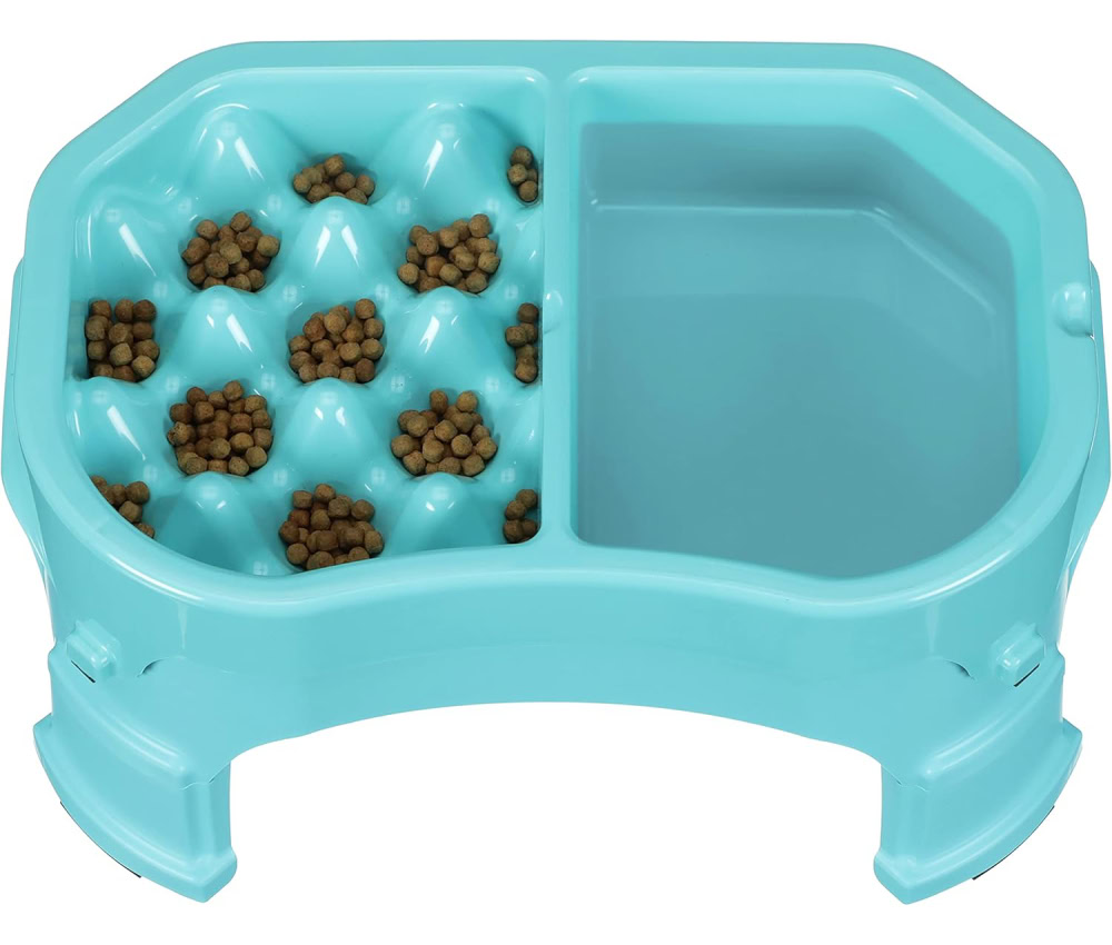 Neater Raised Slow Feeder Dog Bowl