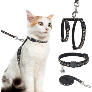 PAWCHIE Cat Harness With Leash and Collar Set