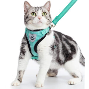 PUPTECK Cat Harness and Leash Set