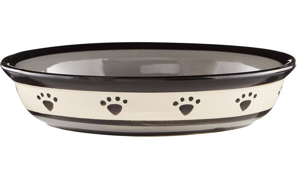 PetRageous Designs Metro Oval Ceramic Dog & Cat Dish
