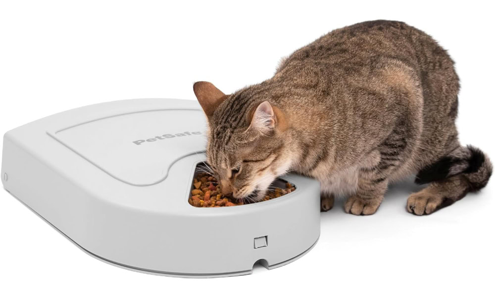 PetSafe Automatic Dog Feeder
