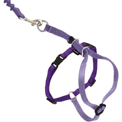 PetSafe Harness & Bungee Leash