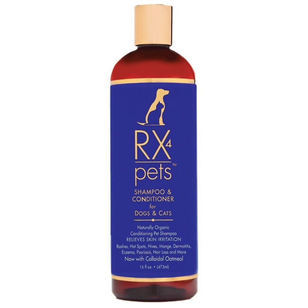 7 Best Cat Shampoo for Dandruff 2026 - Reviews & Top Picks | The Vet Desk