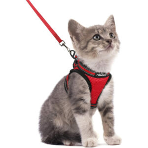 Rabbitgoo Cat Harness and Leash