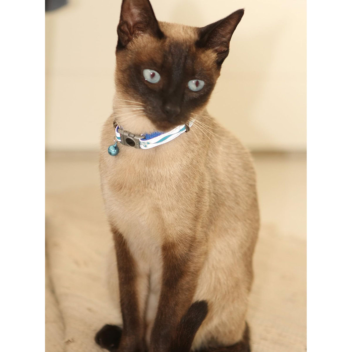 Rogz Catz Breakaway Reflective Cat Collar