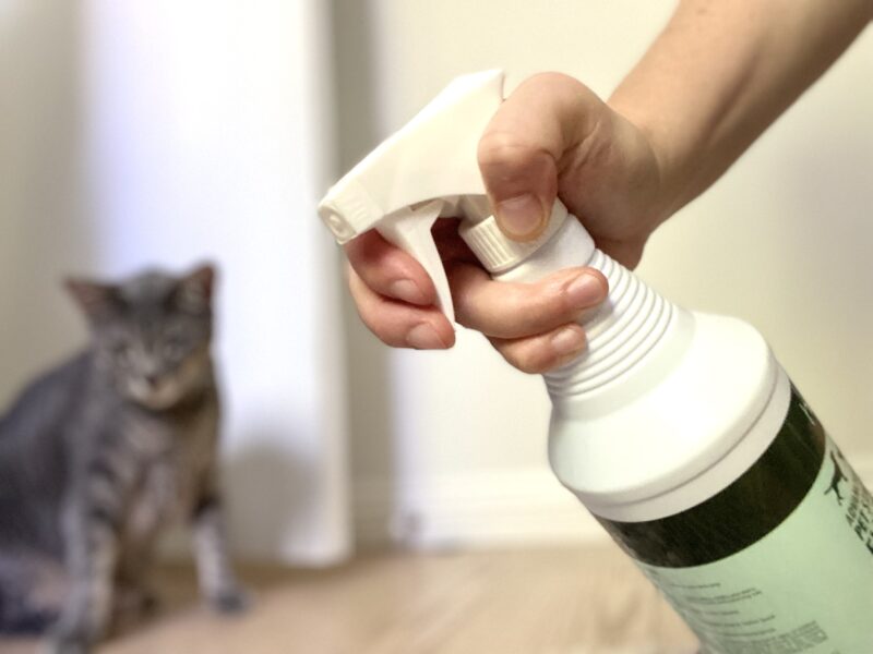 hepper spray for cleaning cat urine