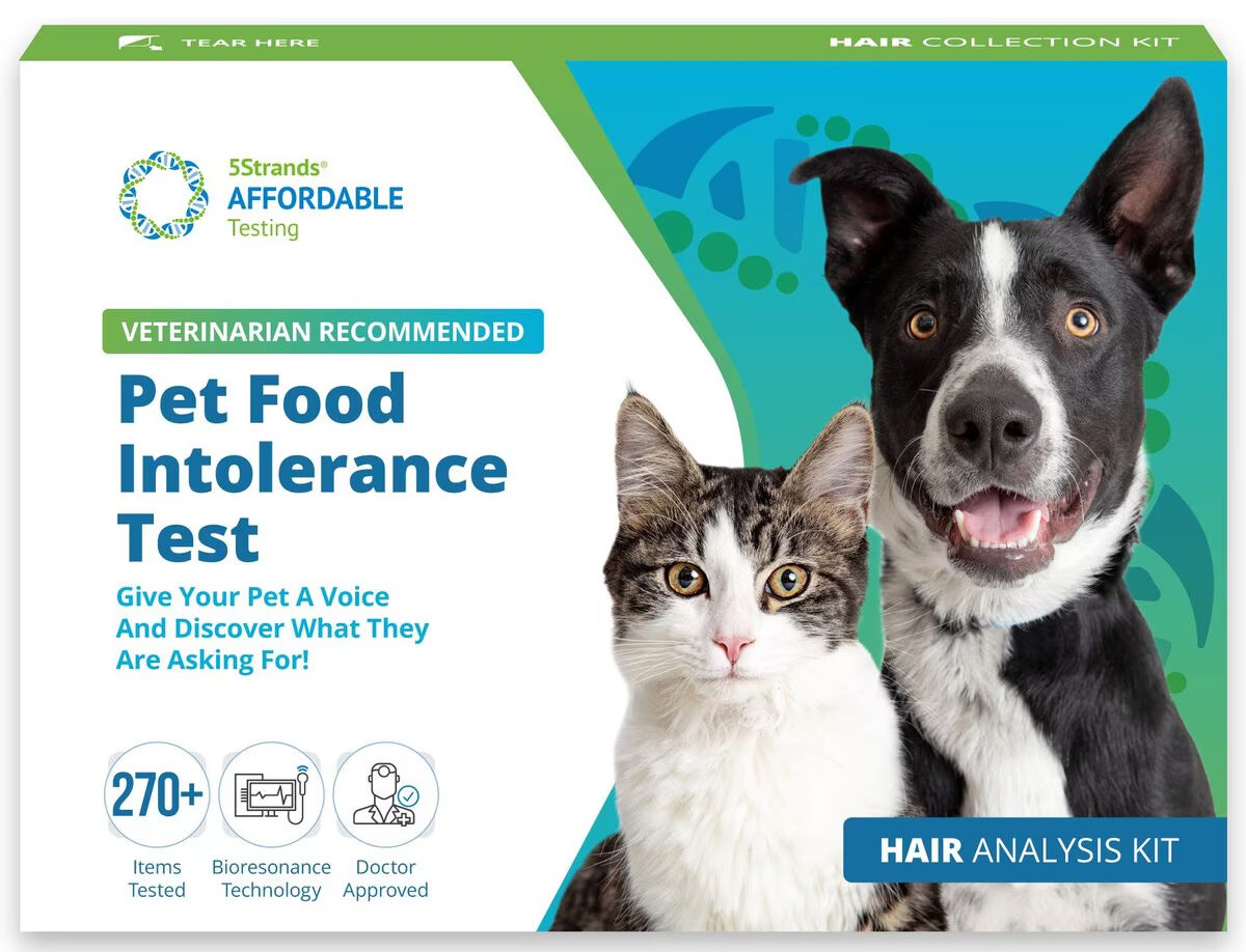 5Strands Food Intolerance & Allergy Testing