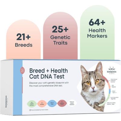 Basepaws Cat DNA Test Kit