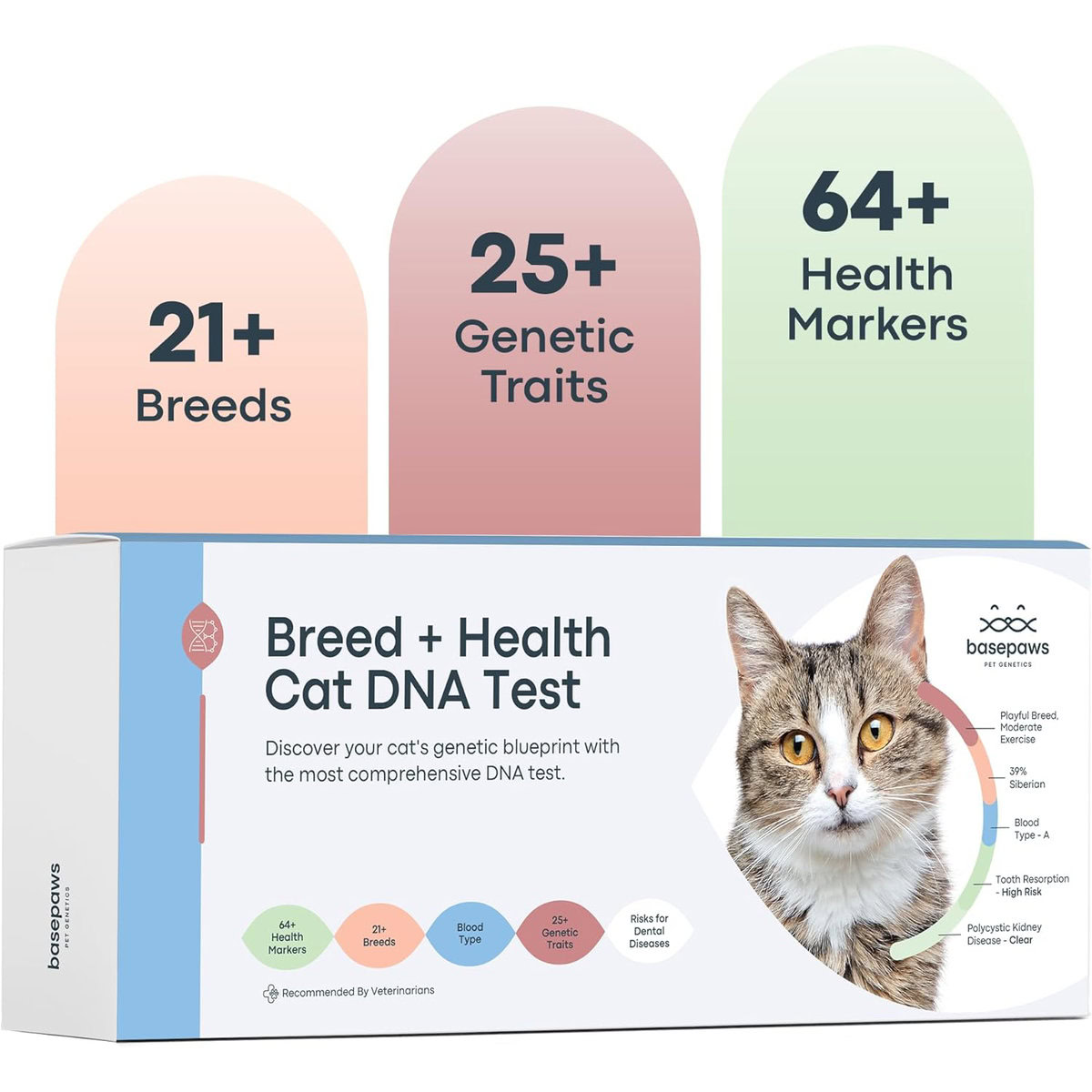 Basepaws Cat DNA Test Kit