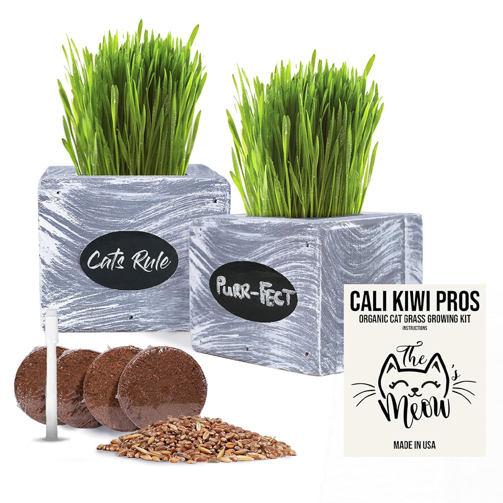 Cali Kiwi Pros Organic Cat Grass