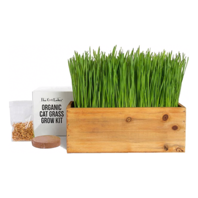 The Cat Ladies Cat Grass Kit