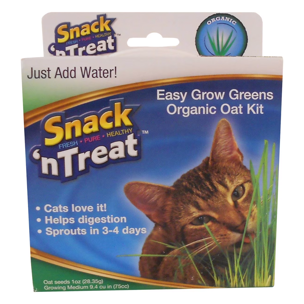 Imperial Cat Easy Grow Cat Oat Grass Kit