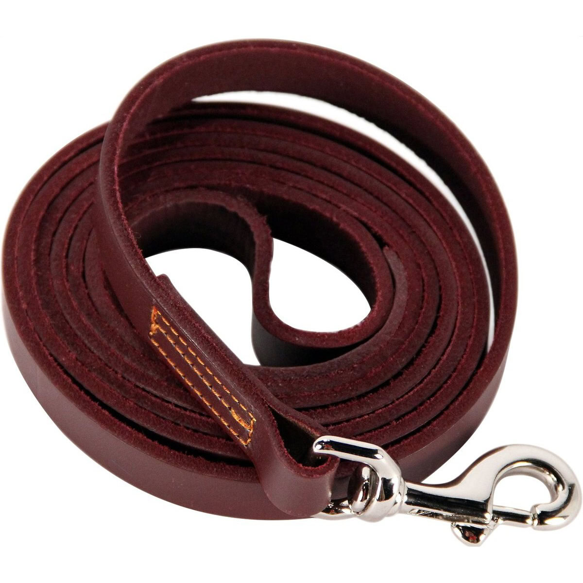 Logical Leather Dog Leash