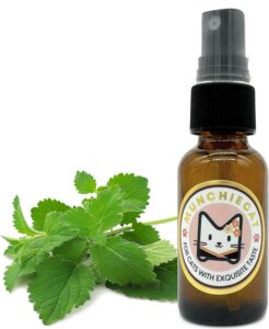 Munchiecat Organic Catnip Spray