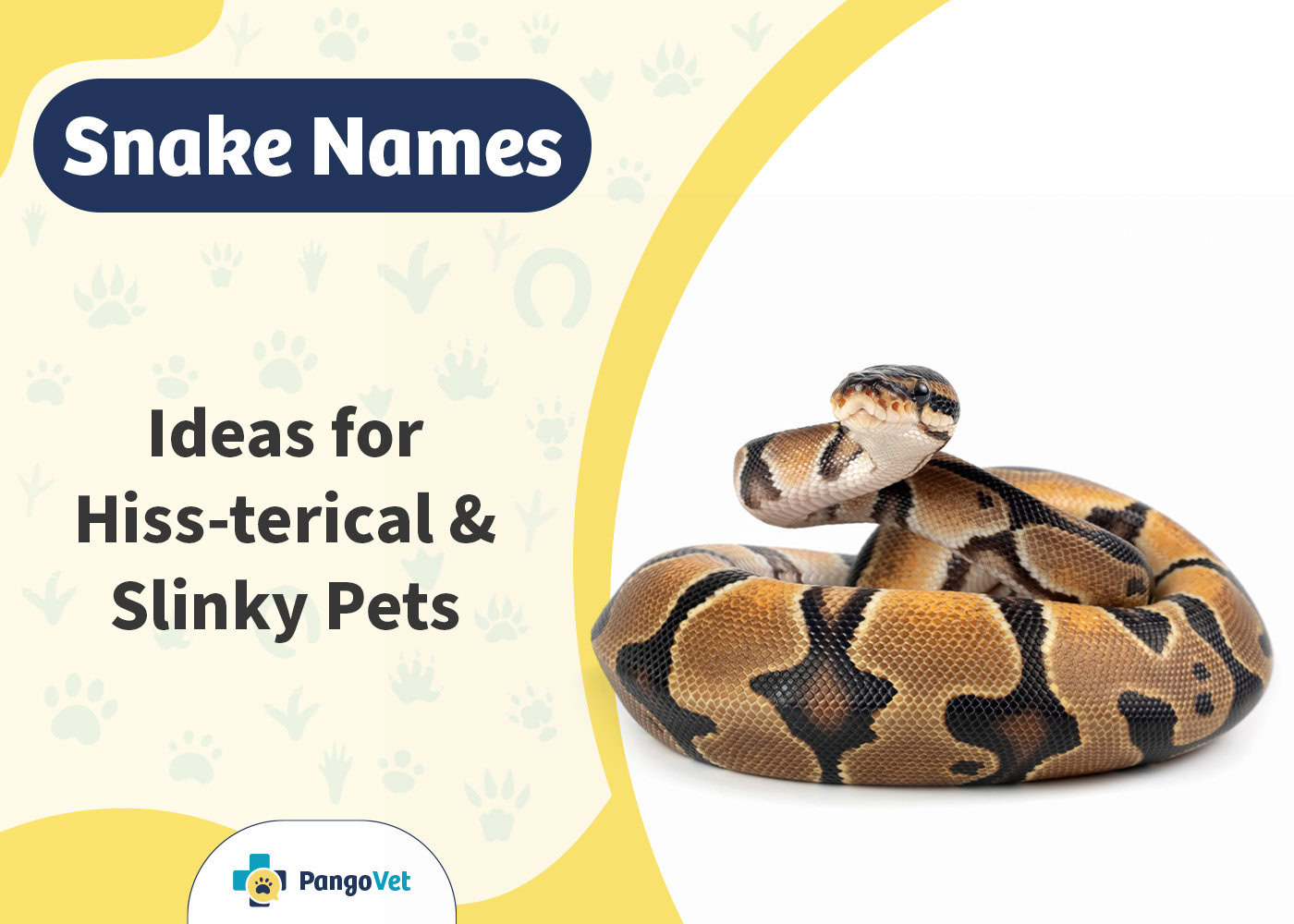 PangoVet_Snake Names