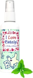 Pet MasterMind I Love Catnip!