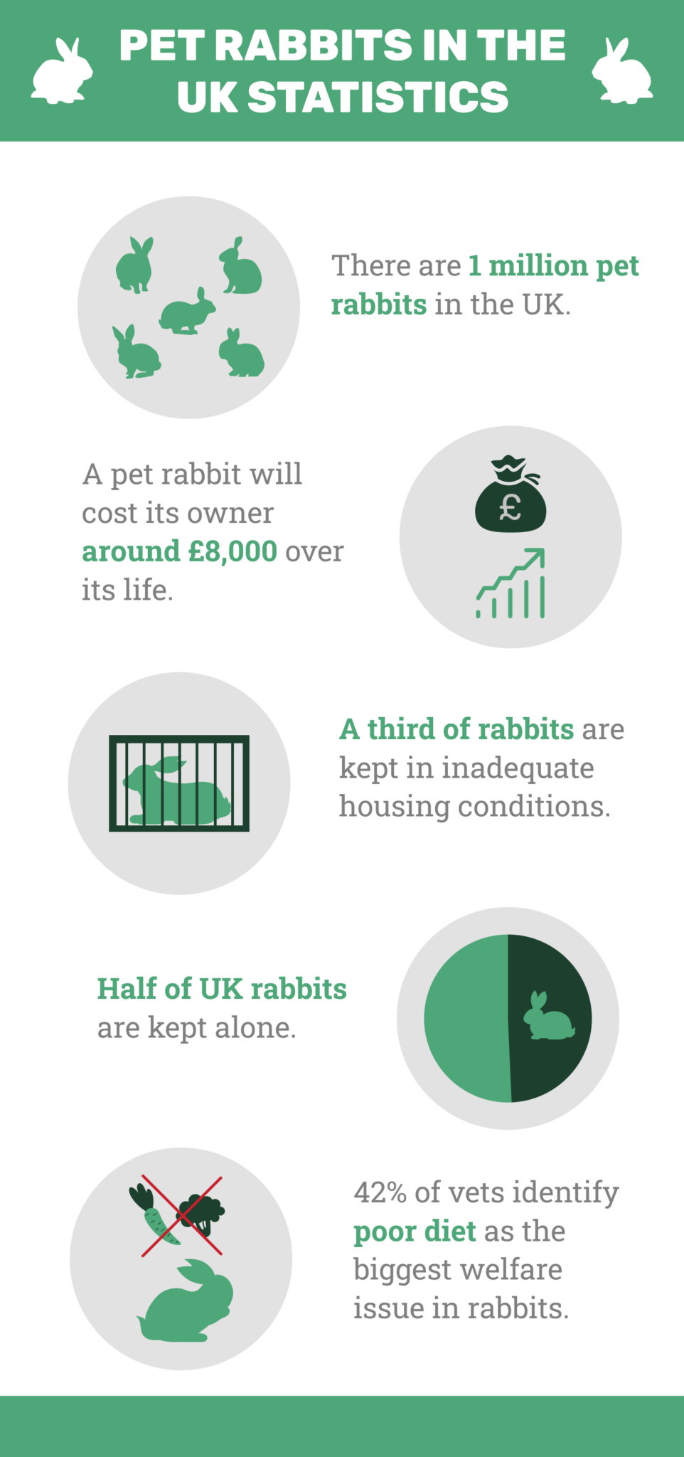 Statistics Rabbit 16 Pet Rabbit Statistics in the UK (Updated in 2026) | The Vet Desk