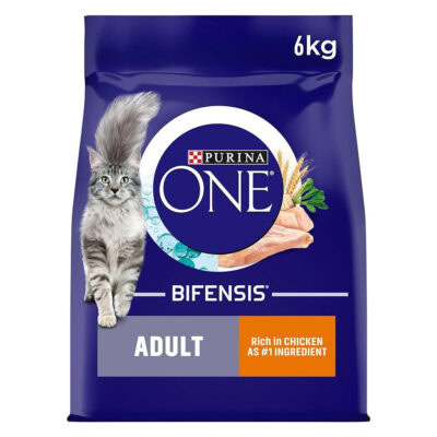 Purina ONE Bifensis Dry Cat Food