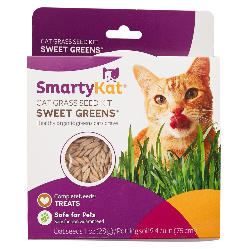SmartyKat Sweet Greens Cat Grass