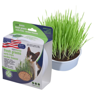 Van Ness Oat Garden Kit