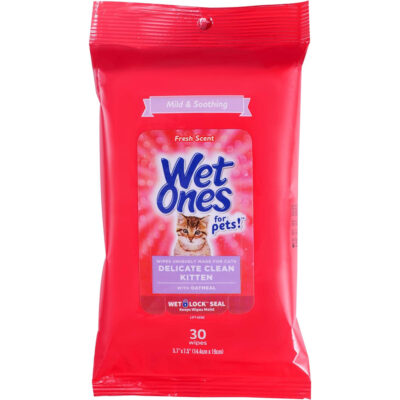 Wet Ones Delicate Fresh Scent Wipe