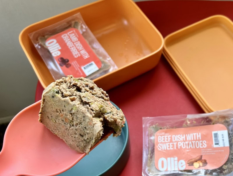 Ollie-dog-food-scoop-fresh-food-and-bowl-1