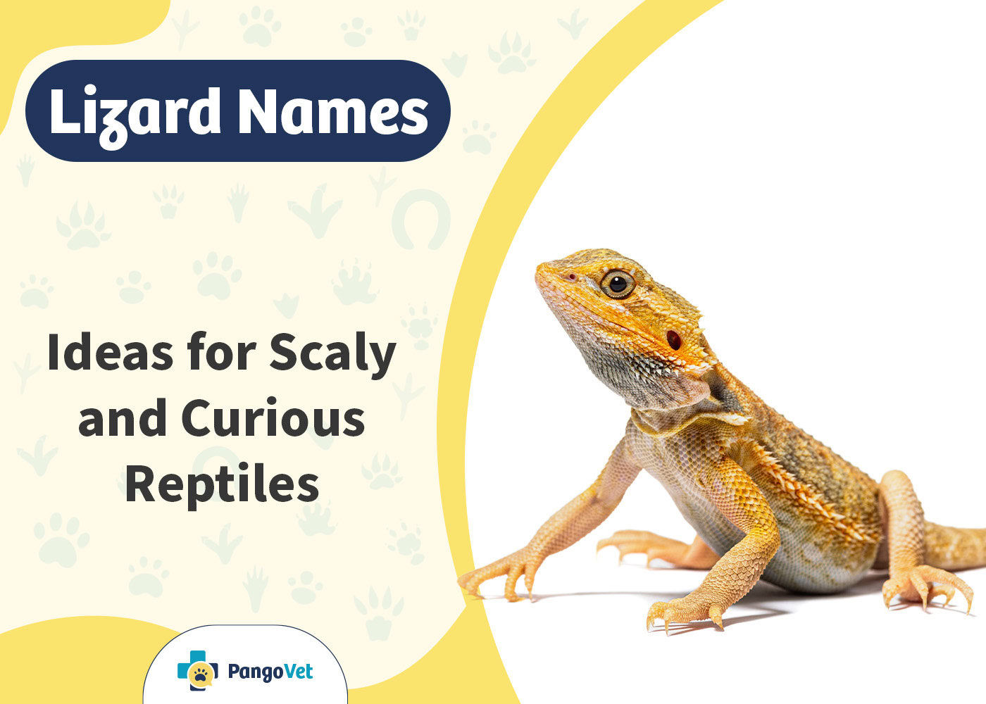PangoVet_Lizard Names