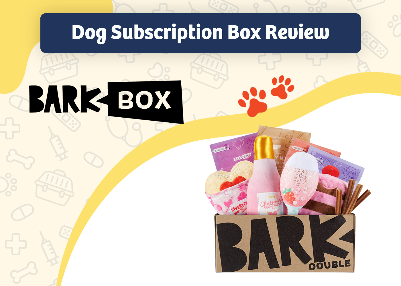 PGV_SAPR_BarkBox Dog Subscription Box