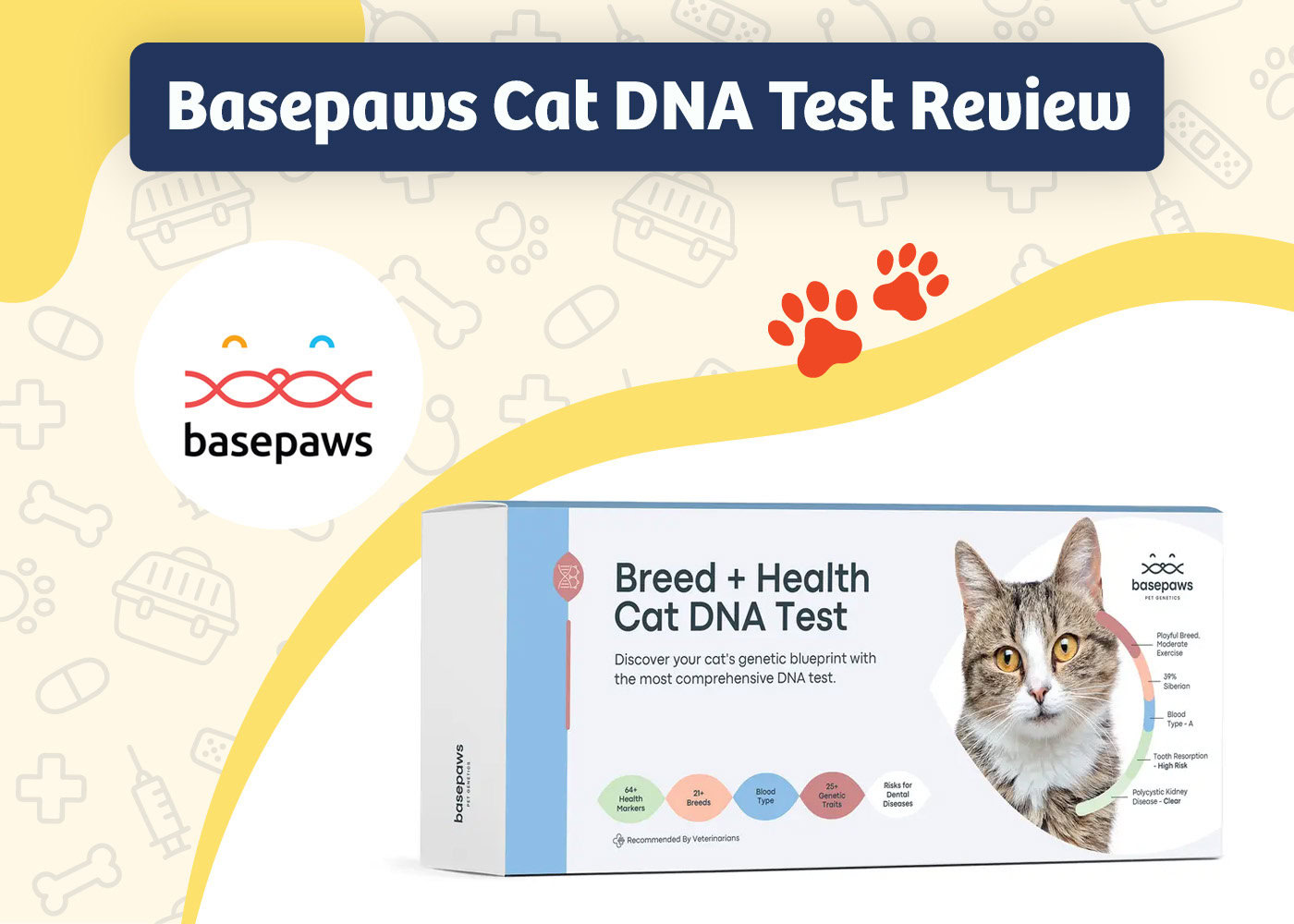 PangoVet_Review_Basepaws Cat DNA Test Review